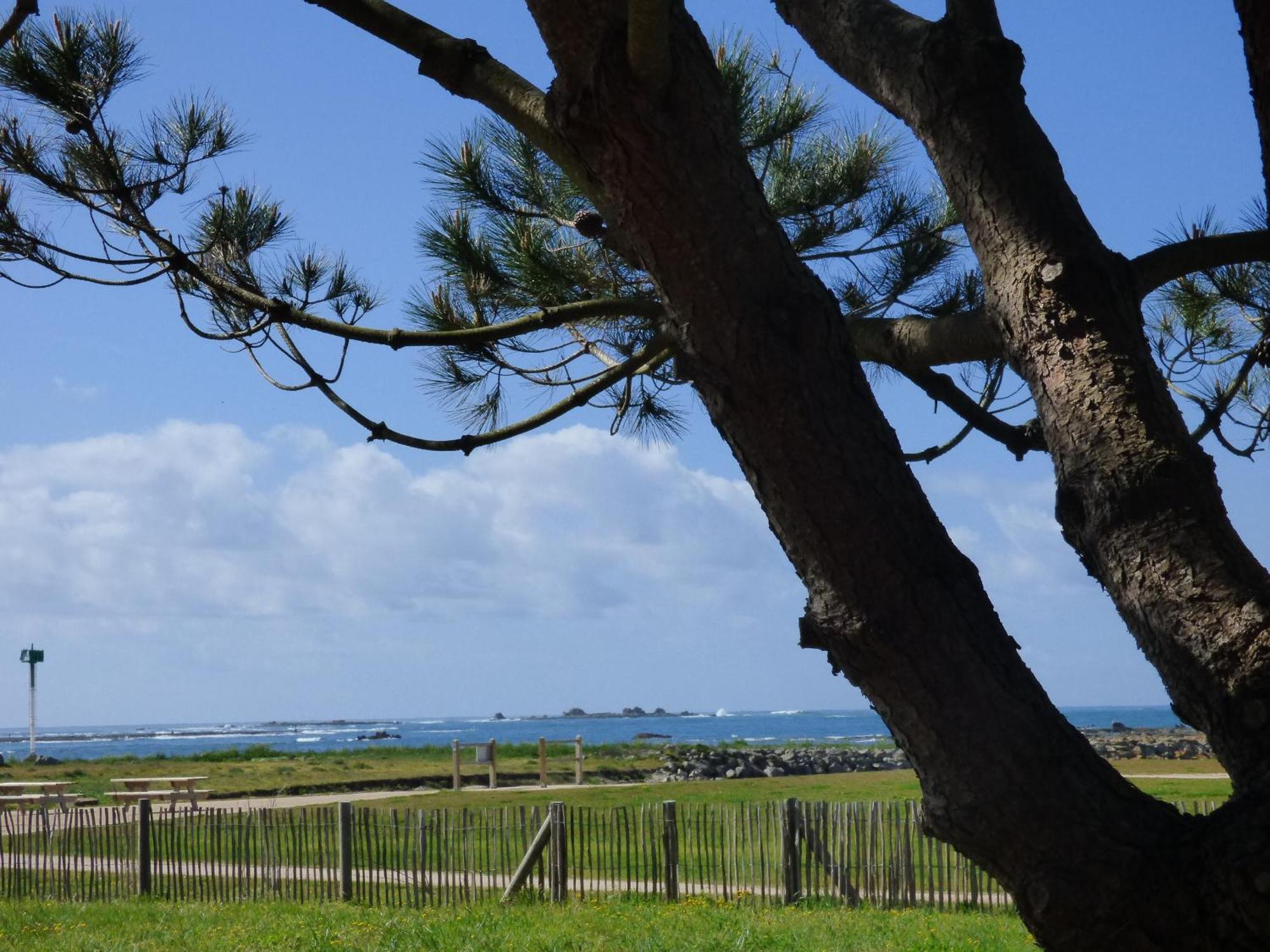 Appart-Studios Vue Mer Panoramique St Guenole Cote Mer Penmarcʼh Szoba fotó